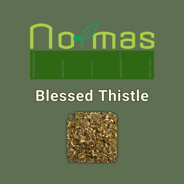 Blessed Thistle