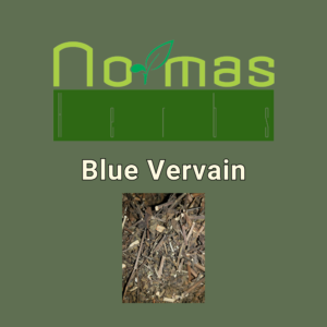 Blue Vervain