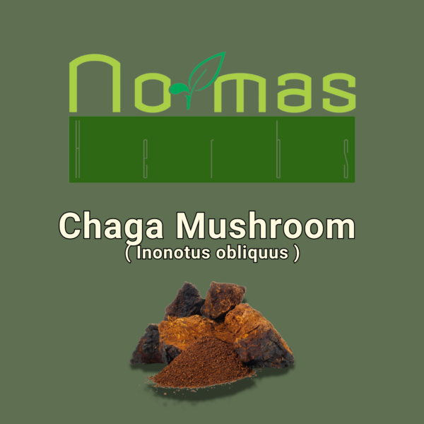 Chaga Mushroom