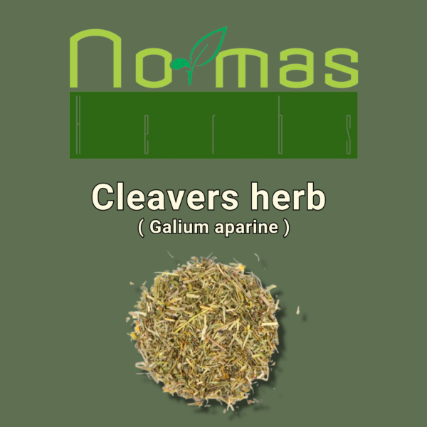 Cleavers herb ( Galium aparine )