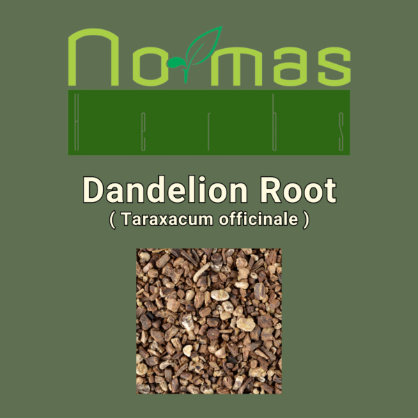 Dandelion Root