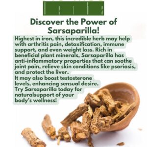Sarsaparilla Root