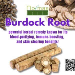 Burdock Root