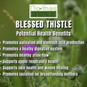 Blessed Thistle