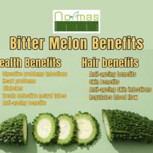 Bitter Melon (Momordica charantia)