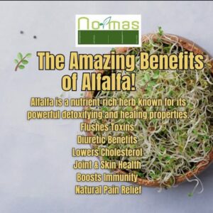 Alfalfa Leaf (Medicago sativa)