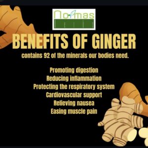 Ginger Powder