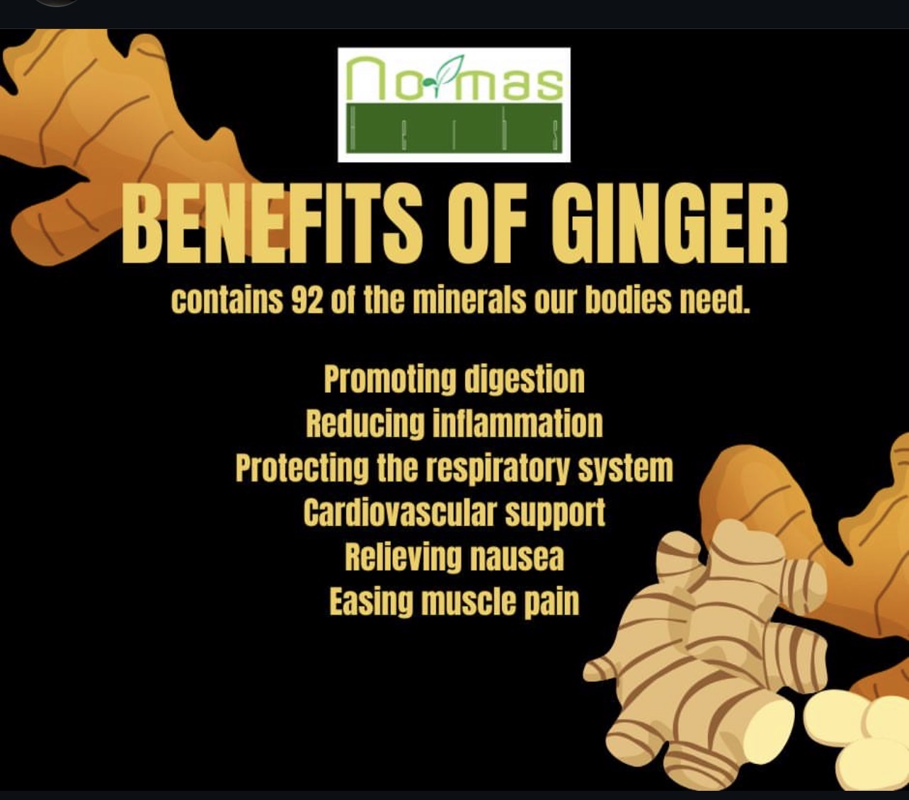 Ginger Powder