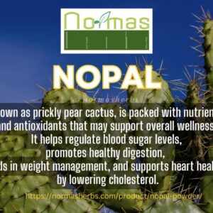 Nopal