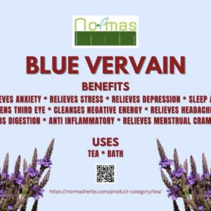 Blue Vervain