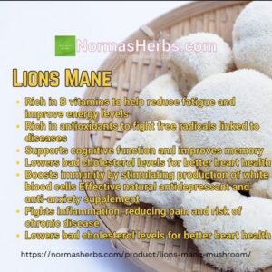 Lion's Mane Mushroom Powder