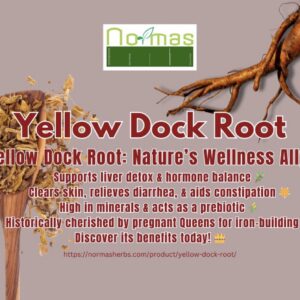 Yellow Dock Root (Rumex crispus)