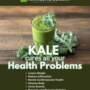 Kale - Capsules (Brassica oleracea)