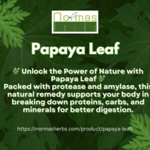 Papaya Leaf