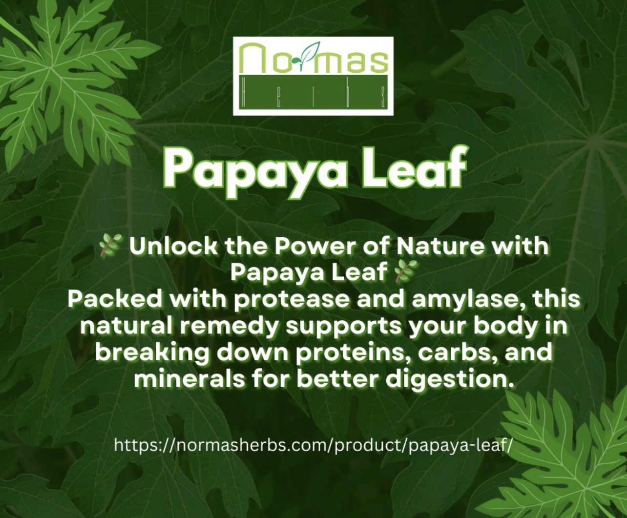 Papaya Leaf