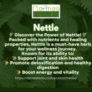 Nettle