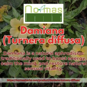 Damiana (Turnera diffusa)