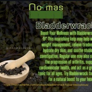 Bladderwrack ( Fucus vesiculosus )