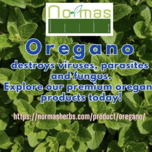 Oregano