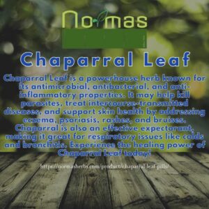 Chaparral Leaf (Larrea Tridentata)