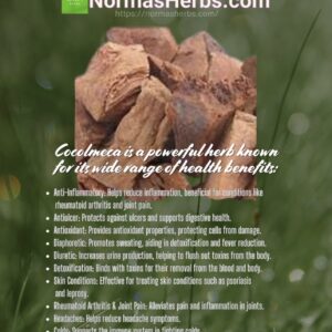 Cocolmeca ( Smilax dominquensis )