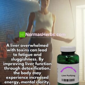 Liver Purifying