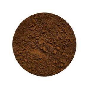 Chaga Mushroom ( Inonotus obliquus )