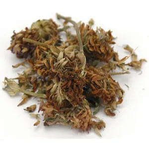 Red Clover Herb ( Trifolium pratense )