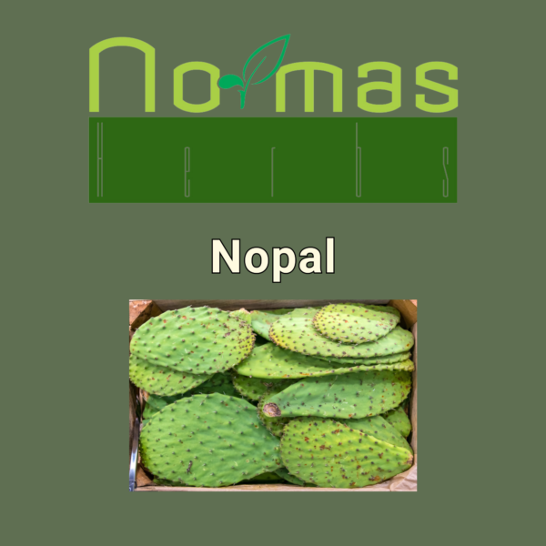 Nopal