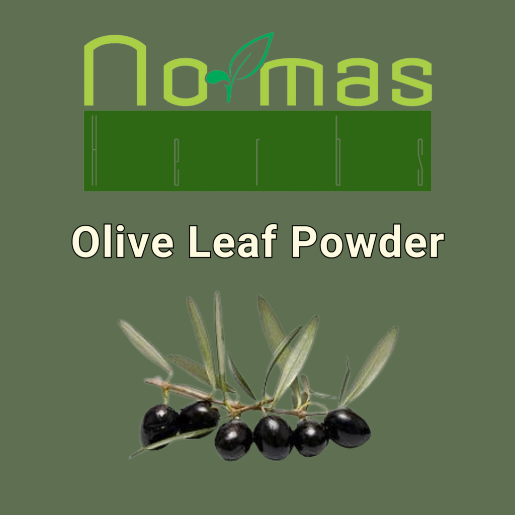 Olive Leaf Powder | NormasHerbs.com