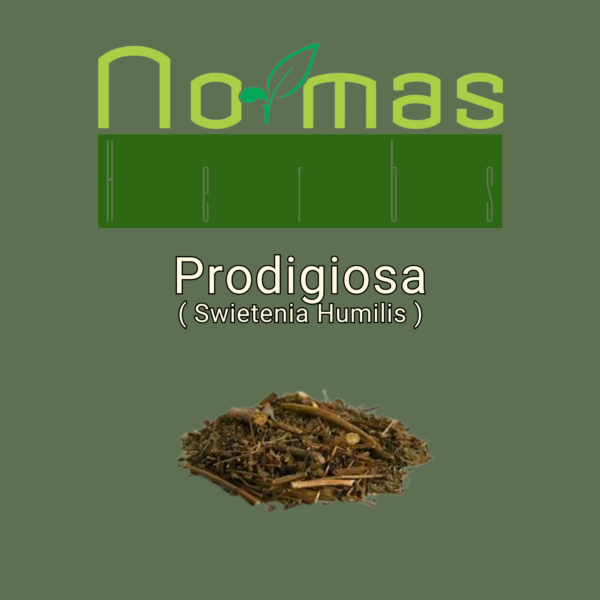 Prodigiosa ( Swietenia Humilis )