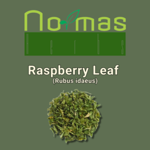 Raspberry Leaf