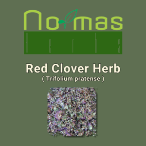 Red Clover Herb