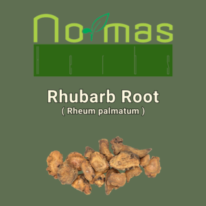 Rhubarb Root ( Rheum palmatum )