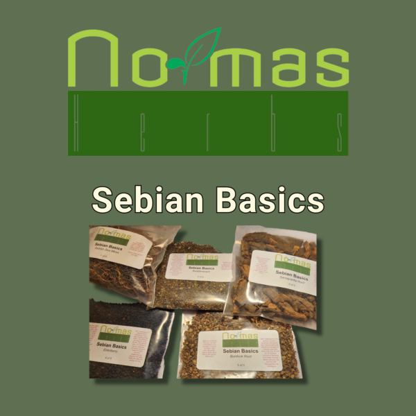 Sebian Basics