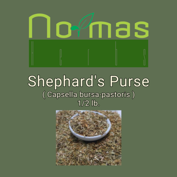 Shephard's Purse ( Capsella bursa-pastoris )