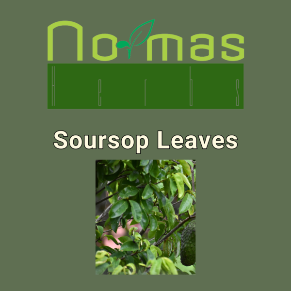 Soursop Leaves