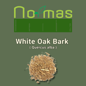 White Oak Bark