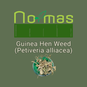 Guinea Hen Weed