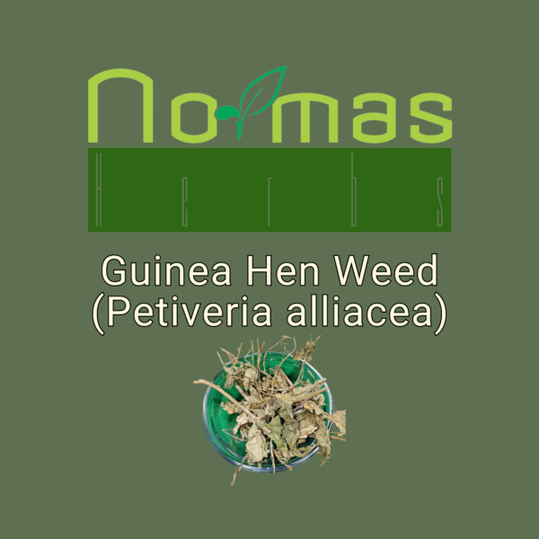 Guinea Hen Weed