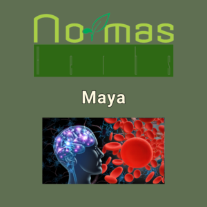 Maya