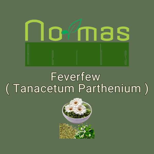 Feverfew