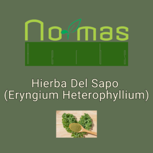 Hierba Del Sapo