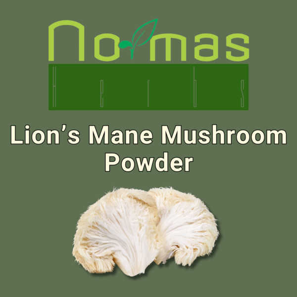 Lion’s Mane Mushroom Powder