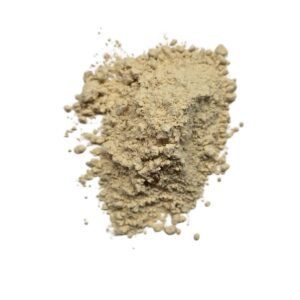 Lion's Mane Mushroom Powder