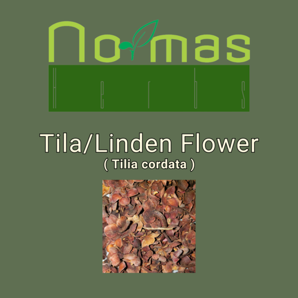 Tila Linden Flower