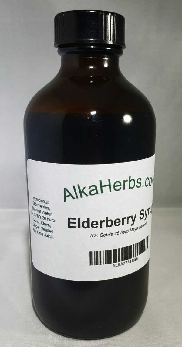Elderberry ( Sambucus nigra )