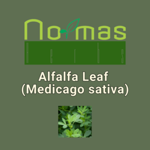 Alfalfa Leaf (Medicago sativa)