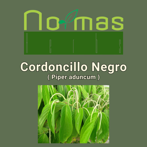 Cordoncillo negro (Piper aduncum)