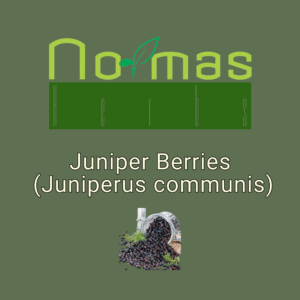 Juniper Berries